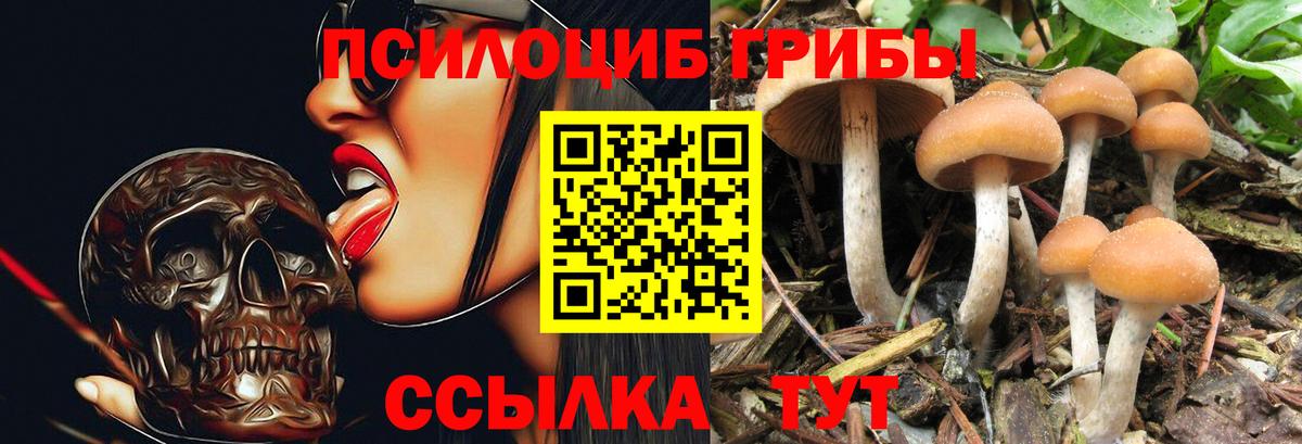 Галлюциногенные грибы прущие грибы Нижний Тагил
